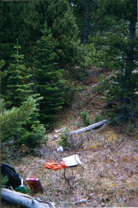 General View. The confluence is marked by the GPS on the orange vest
