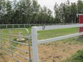 #7: 54N 113W - Horse Pen 17 - Where the confluence is!
