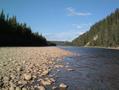 #3: Berland River 1000 feet from confluence