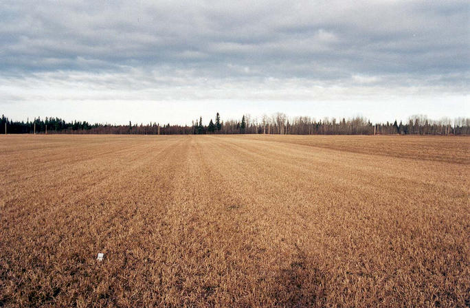 Stubble: The north view, with electronic thermometer on the confluence
