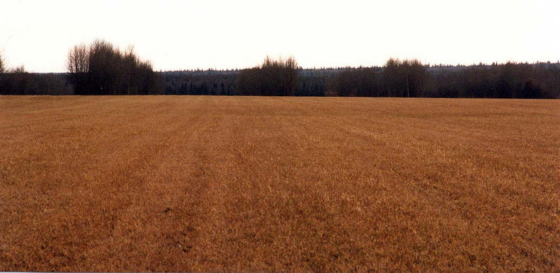 Stubble: The view south, toward Township Road 694