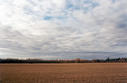 #2: Stubble: The view west, toward Range Road 10 and my car