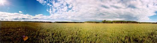 #1: 110 Degree Field of View Panoramic Looking North