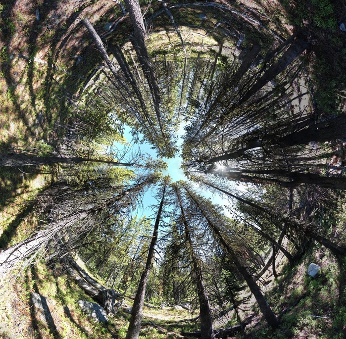 A stereographic projection of a panorama centred at the zenith taken at the confluence.