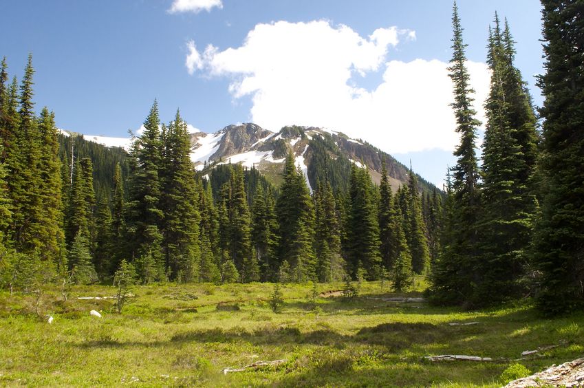 View of Mount Garibaldi from the meadow near the confluence point