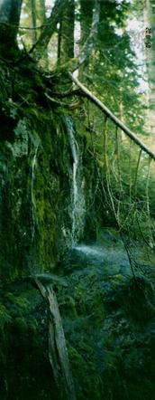 #1: Waterfall to North
