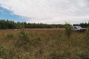 #1: North, looking across the clearing where the old speedway used to be