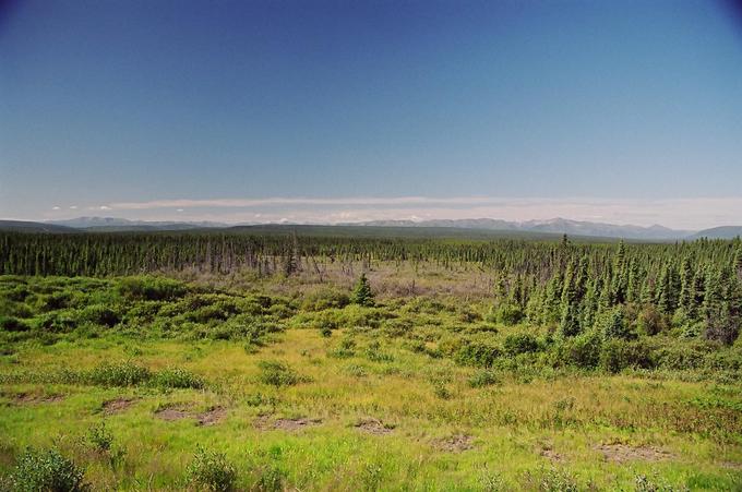 View from Alaska Highway, north of Buckinghorse River