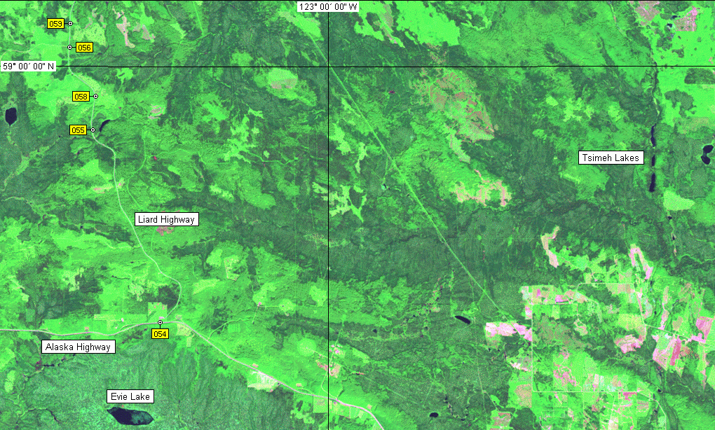 Landsat-7 satellite image (August, 2001)