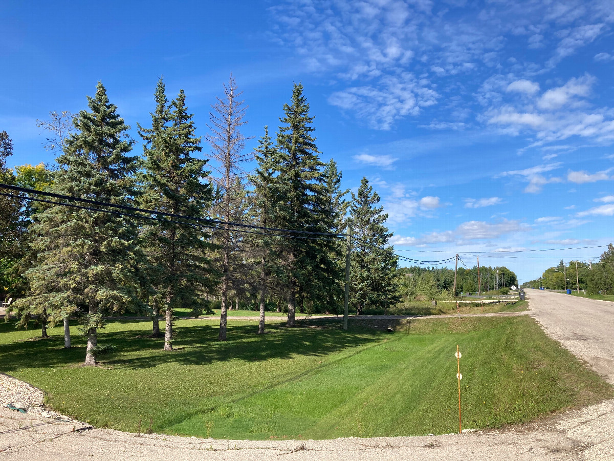 Looking north from our closest approach to the confluence