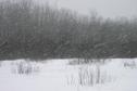 #3: East view and snow falling
