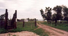#10: The corral at the end of the frequented road, Lake Winnipegosis in the background