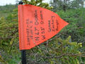 #2: Pennant left at the confluence