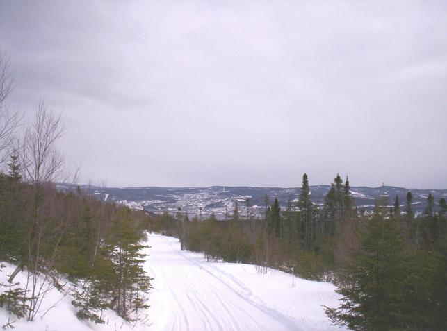 View of snowmobile trail looking south to Corner Brook