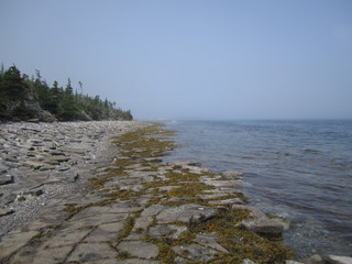 #1: View north along beach from the nearest point