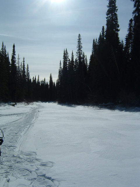 This pic shows the general area from the river, showing the dense Labrador Black Spruce forest. The confluence is uphill to the left about 250m.