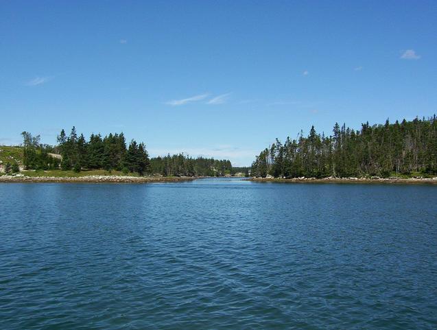 Typical scenery among the islands in Liscomb Harbour