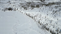 #5: The confluence in the the circle of snowmobile tracks (taken from drone). 