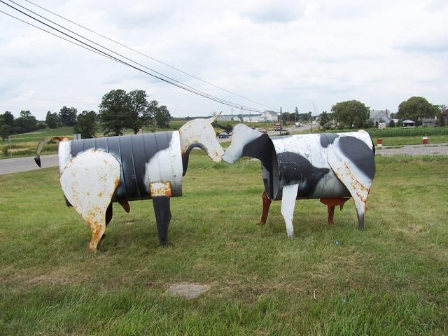 Metal "animals" seen in front of the Haggersville Auction Center on Highway 6.