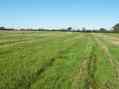 #3: The confluence is in this field, taken from the boundary with the neighbouring field