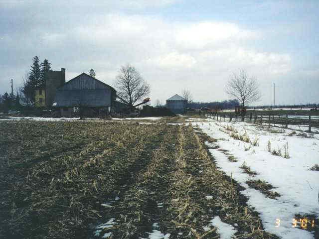 facing east: the farm buildings