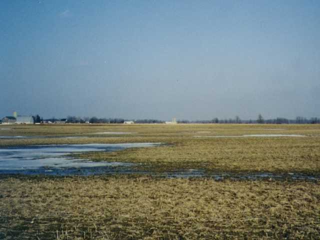 facing east: fields and farms