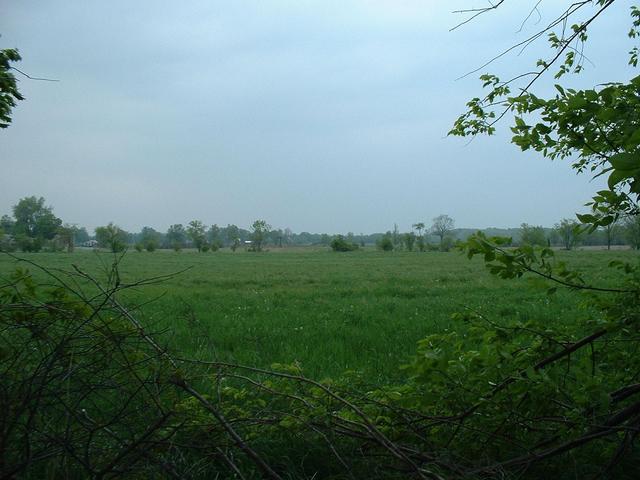 Countryside typical of the county