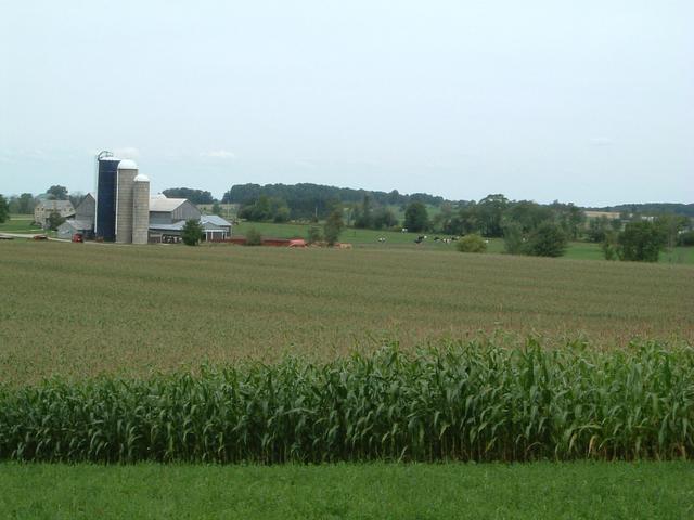44N 81W is right in the middle of the cornfield.