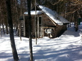 #7: Unchanged cabin