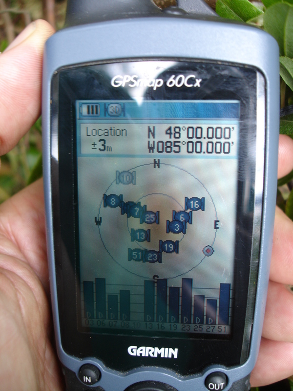 GPS Reading at Confluence Point