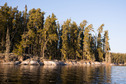 #6: Typical shoreline on the lake