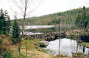 #5: The beaver dam 1km from the confluence