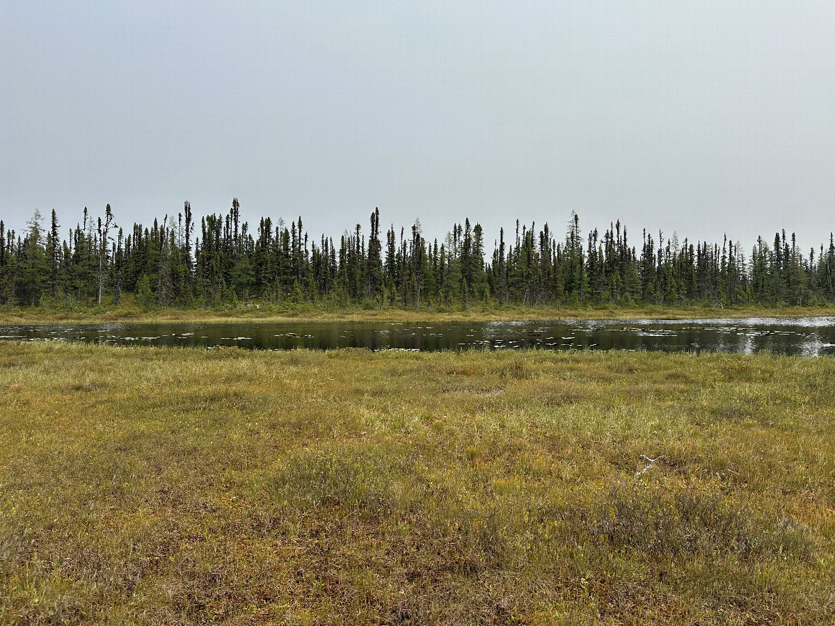 Looking east from the confluence point