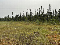 #4: Looking south from the confluence point