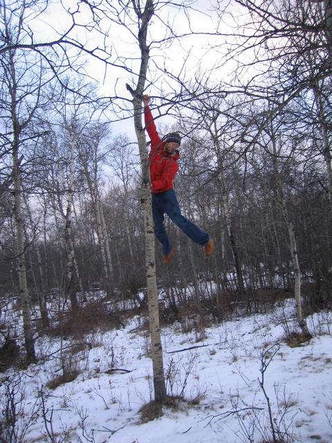 Climbing a Tree