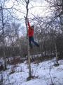 #5: Climbing a Tree