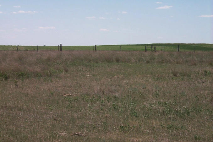 Looking south.  Prairie grassland.