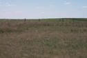 #3: Looking south.  Prairie grassland.