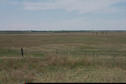 #4: Looking west.  More pasture and prairie.