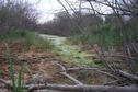 #7: A green, slimy "creek" encountered along the route.