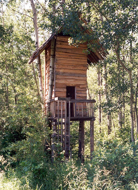 The two-story tree house, 30 meters from the confluence