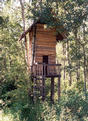 #2: The two-story tree house, 30 meters from the confluence