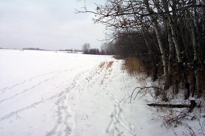 View West with "wildlife" tracks - deer and Foxes (us!)