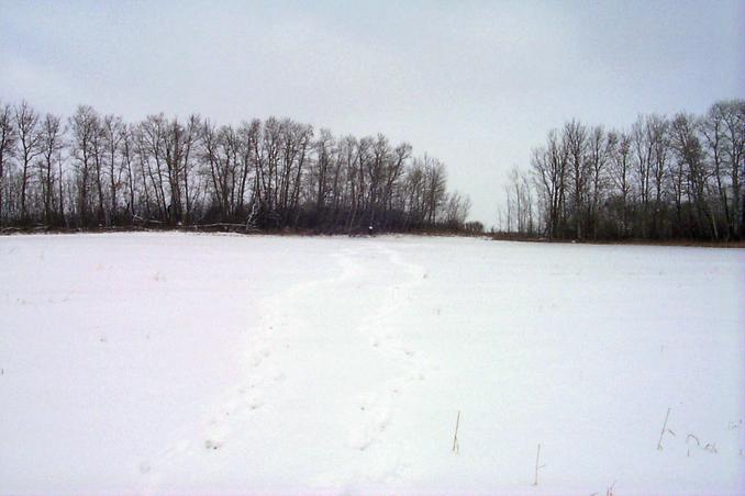 Overview from 100 m SW.  Follow the footprints to the snowflake conveniently marking the CP in the center of the photo.