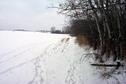 #3: View West with "wildlife" tracks - deer and Foxes (us!)