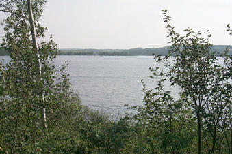 #1: Looking south at Martin's Lake.  The confluence lies about 190 m away from this point.