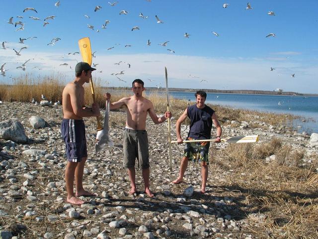 Sea Gull Island Assault