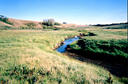 #5: Creek near confluence, dry in places