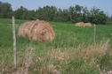 #6: Hay bales in the adjacent field west of the confluence point.