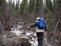 #6: hiking conditions in the taiga